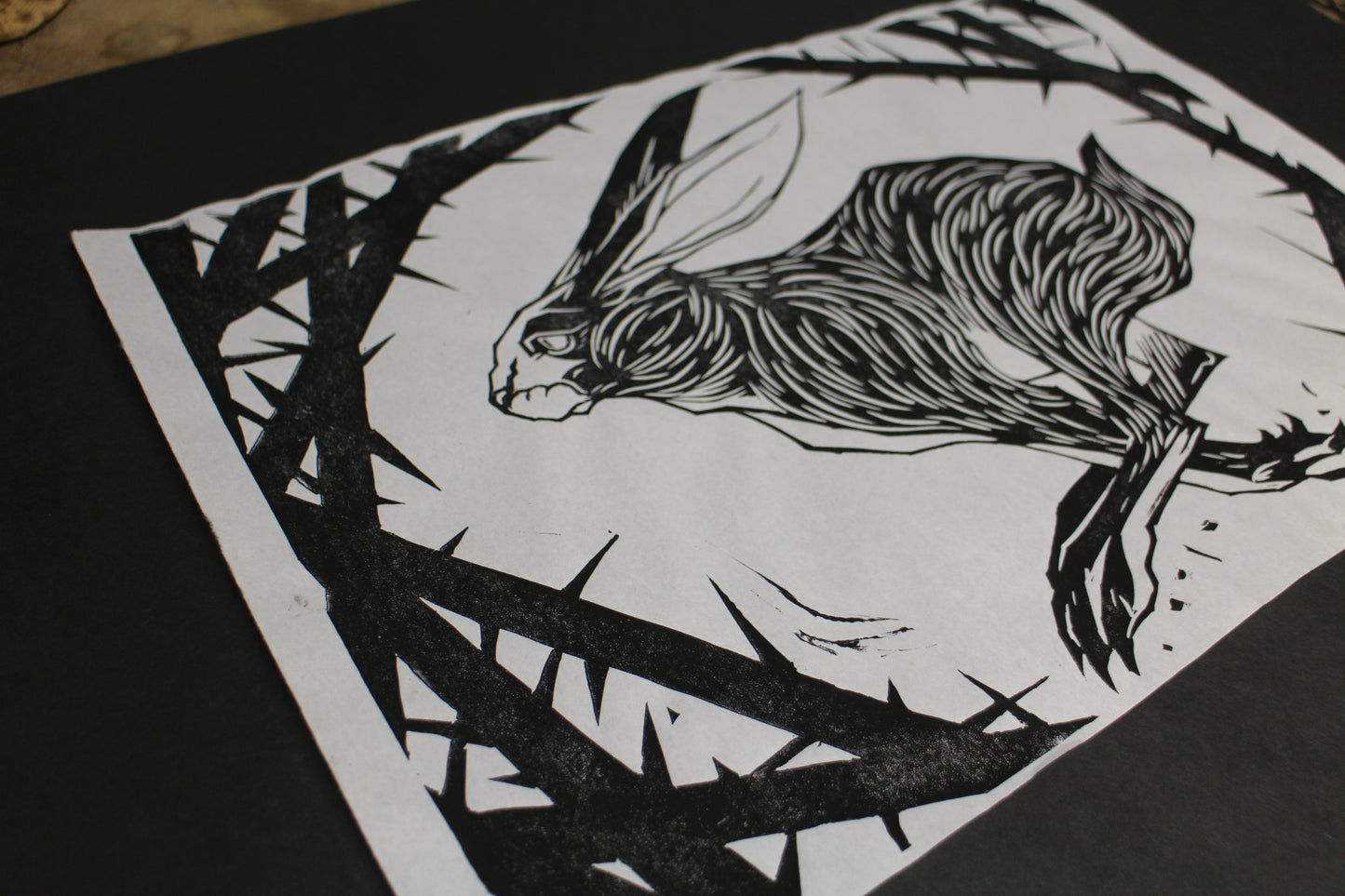 RABBIT & THORNS