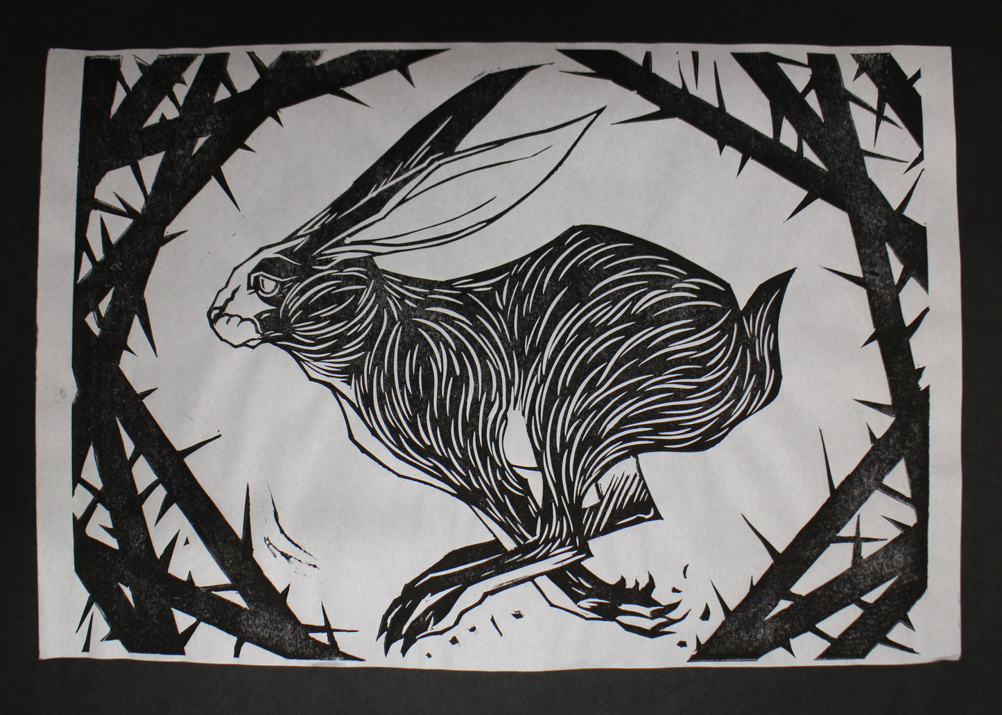 RABBIT & THORNS