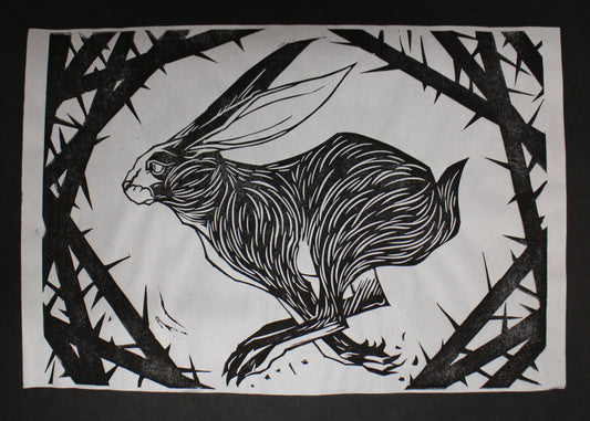 RABBIT & THORNS